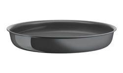 Poêle Tefal Ingenio Renew L2600302 22 cm Gris Hippo Iron