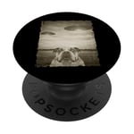 Bulldog Dog Selfie Vieux Téléphone Photo Drôle Observation OVNI PopSockets PopGrip Adhésif