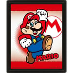 Super Mario (Mario Yoshi Flip) 3D Plakat