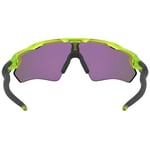 Oakley Radar Ev Xs Path Prizm Solglasögon