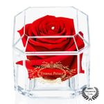 A 100% Real Rose That Lasts Years - Eternal Petals, Handmade in UK – Preserved Infinity Flower - Gold Solo with A Clear Swarovski Crystal (Red)