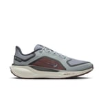 Nike Pegasus 41 Gore-Tex