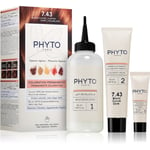 Phyto Color hair colour with plant extract shade 7.43 Copper Golden Blonde 3 pc