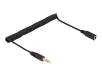 Delock - Lydforlengelseskabel - Mini-Phone Stereo 3.5 Mm Hann Til Mini-Phone Stereo 3.5 Mm Hunn - 1.5 M - Svart - Rullet Sammen