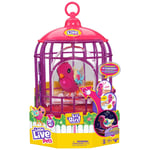 Little Live Pets Lil' Bird & Bird Cage - Tiara Twinkles