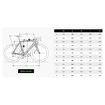 Ridley Fenix Slic 2024 Road Frame