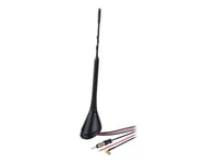 Hama - Antenne - Stang - Radio - Biltak