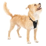 Kurgo Harnais pour Chien Tru-Fit, Accessoire Chien pour la Promenade, Clip Avant pour entraîner Son Chien à ne Pas Tirer & Ceinture de sécurité pour Voiture,Noir, XS