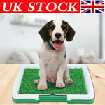 Uk Indoor Pet Dog Grass Mat Potty Training Pad Toilet Loo Clean Pad Tray Large