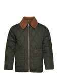 Barbour Barbour Woodhall Quilt Grön