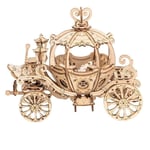 Carrosse de princesse