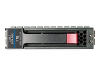 Hpe Midline - Hårddisk - 500 Gb - Sata 6Gb/S - 7200 Rpm - Smart Buy - Med Hp Smartdrive-Väska