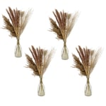 4x Deco Bundles Pampas Grass Dried Height 50 CM IN Glass Vase Dry Flowers Pampas