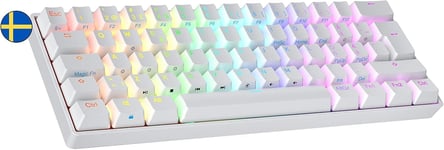 N60 Nova Clavier Mécanique de Jeu 60% | Hot Swap Gaming Keyboard | 62 Touches Programmables | RGB LED | Mac, PC Windows | QWERTY Suédois (Blanc, Gateron Brown)