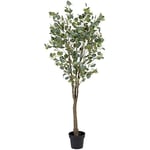 Konstgjord växt - LOLAHOME - Eucalyptus - 173 cm - Realistiskt utseende - Underhållsfri