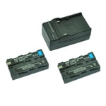 MP power ® 2 x Batterie NP-F550 / F570 / F330 / F530 + chargeur pour Sony CCD-RV200 / SC6 / SC65