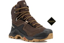 Salomon Quest Element Gore-Tex M Chaussures homme