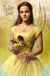 Disney Beauty and The Beast Movie (Belle) 61 x 91.5 cm Maxi Poster