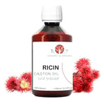 Huile de Ricin Organique, Sérum pour Cils et Sourcils, Huile Cheveux et Capillaire, Pousse Cheveux et Barbe Très Rapide, Anti Chute Naturel, Ongles et Cuticules, BIO Castor Oil 1000 ml