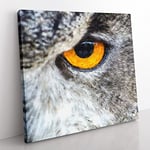 Eye of an Owl Painting Modern Canvas Wall Art Print Ready to Hang, Framed Picture for Living Room Bedroom Home Office Décor, 35x35 cm (14x14 Inch)