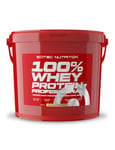 100% Whey Professional (5kg)|Vanille| Whey Protéine|Scitec Nutrition