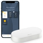 Kit de connectivité - Pilotez les moteurs et l'éclairage SOMFY par smartphone - Compatible moteurs io & RTS - Contrôle à la voix via l'Assistant Google, Amazon Alexa, HomeKit