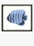 Brookpace Lascelles 'Blue Fish 3' Framed Print & Mount, 36 x 46cm, Blue