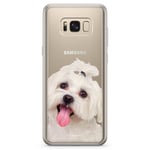 Samsung Galaxy S8 Plus Fashion Skal - Bichon Frisé