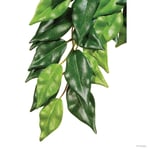 ExoTerra Terrariedekorasjon Ficus - L