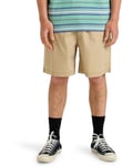 Quiksilver Short Taxer WS Homme Marron L