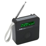 Digital Radio Bt Fm Radio With Dab/Dab For Walking Outdoor Travel Part