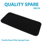 Tumble Dryer Sponge Filter HOOVER DX4 H7A1DREX-01 DX H10A2TCE-80 DX H10A2TCEX-S