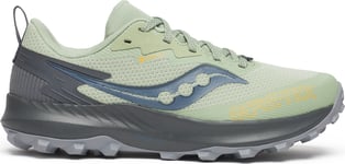 Saucony Women's Peregrine 14 GORE-TEX Sage/Carbon, 40