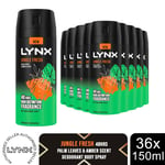 Lynx Body Spray 48-Hour High Definition Fragrance Deodorant For Men 150ml, 36pk