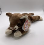 TY Beanie Baby Pounce The Cat With Tag In Plastic Protector