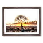 Sunlight Through The Oak Tree In Abstract Modern Art Framed Wall Art Print, Ready to Hang Picture for Living Room Bedroom Home Office Décor, Walnut A4 (34 x 25 cm)