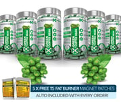 X6 GREEN COFFEE BEAN EXTRACT -STRONGEST LEGAL SLIMMING /DIET & WEIGHT LOSS PILLS