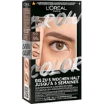 L’Oréal Paris Silmämeikki Kulmakarvat Brow Colour kulmaväri 5.0 ruskea 5 ml ()