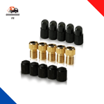 Adaptateur Pour Valve Presta En Laiton (Lot De 5 + 10 Bouchons