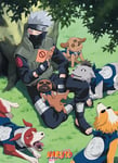 ABYSTYLE - Naruto - Poster (KAKASHI & SES CHIENS)