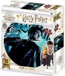 Harry Potter Affiche Groupe Premières 3D Puzzle Tridimensionnel 500 Pcs