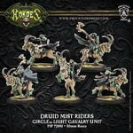 Circle Blackclad Druid Mist Riders (5)  PLASTIC