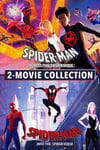 SpiderMan: Across The SpiderVerse / Into The SpiderVerse DVD