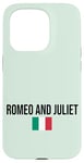 Coque pour iPhone 15 Pro Romeo and Juliet Love Illustration Novelty Graphic Designs