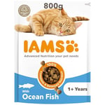 IAMS Complete Dry Cat Food for Adult 1+ Cats with Ocean Fish 800 g