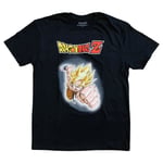 Dragon Ball Z-Super Saiyan Goku Anime Adult T-Shirt