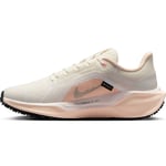 Nike Pegasus 41 GORE-TEX Dame