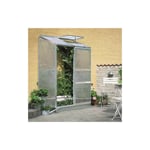 Serre polycarbonate Altan 2 avec base - 0.91 m², Couleur Aluminium