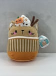 RARE Squishmallow Cinda the Pumpkin Latte Cat 8” Claires Exclusive Plush