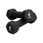 Premium Dumbbells 2 x 1 kg